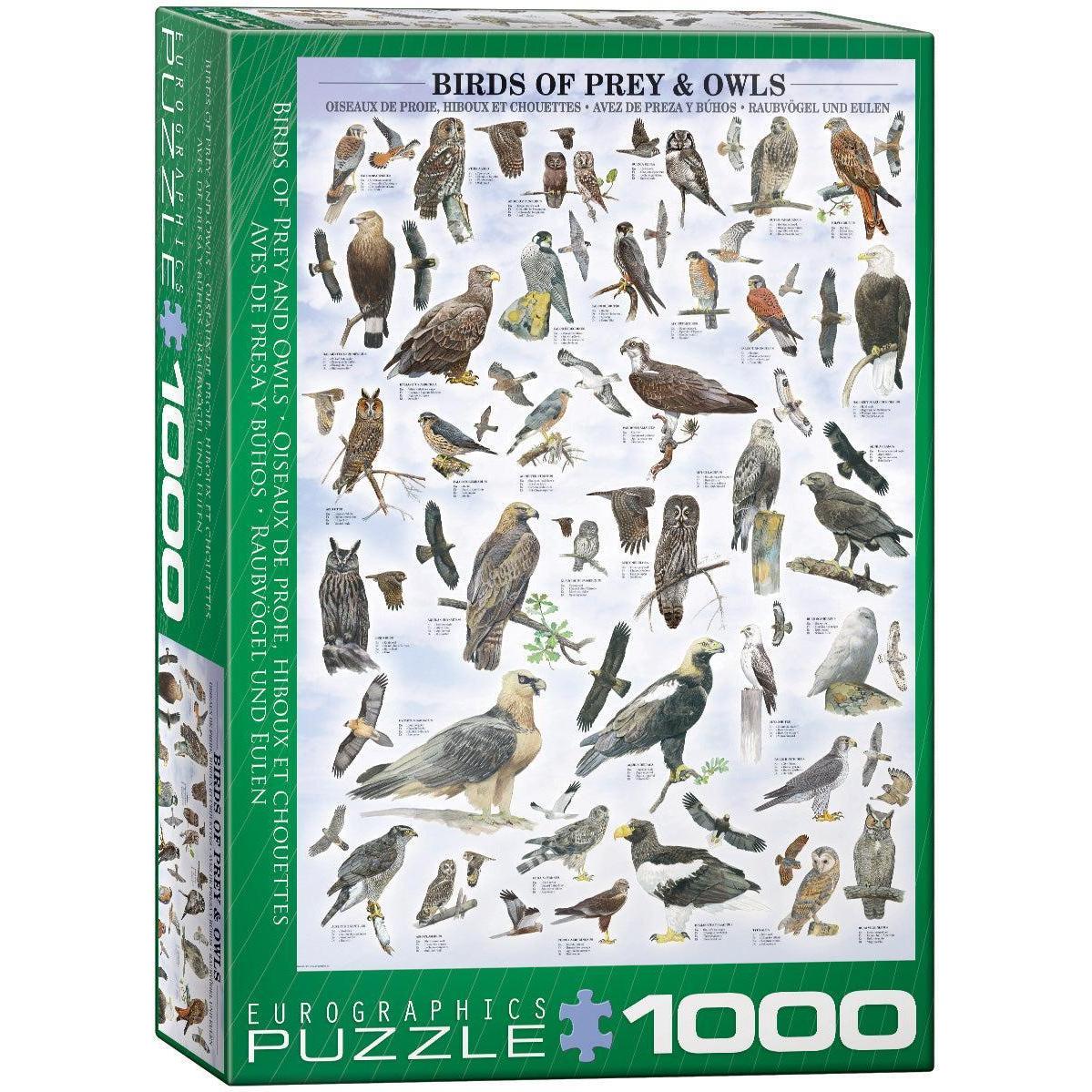 Birds of Prey & Owls 1000 Piece Jigsaw Puzzle Eurographics