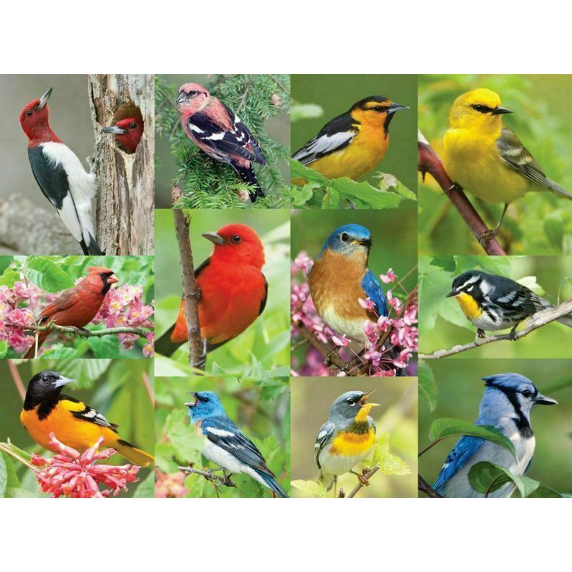 Birds of a Feather 500 Piece Jigsaw Puzzle Springbok