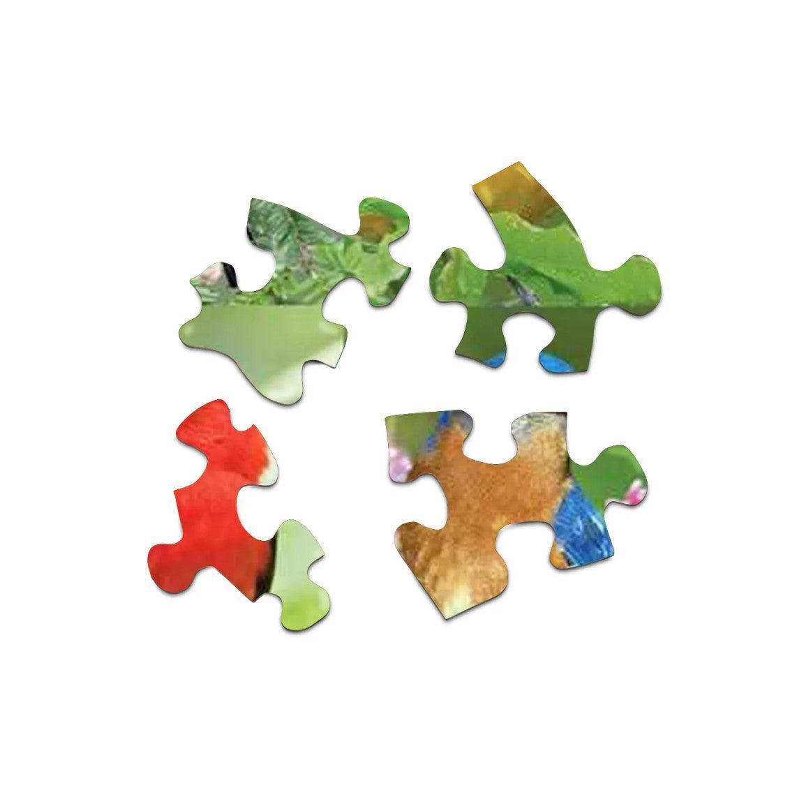 Birds of a Feather 500 Piece Jigsaw Puzzle Springbok