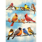 Blue Sky Birds 35 Piece Tray Jigsaw Puzzle Cobble Hill