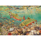 Brook Trout 1000 Piece Jigsaw Puzzle Cobble Hill