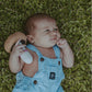 Friendly Lemon Rattle