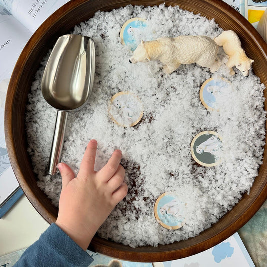 Eco Snow Bucket