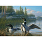 Common Loons 1000 Piece Jigsaw Puzzle Cobble Hill