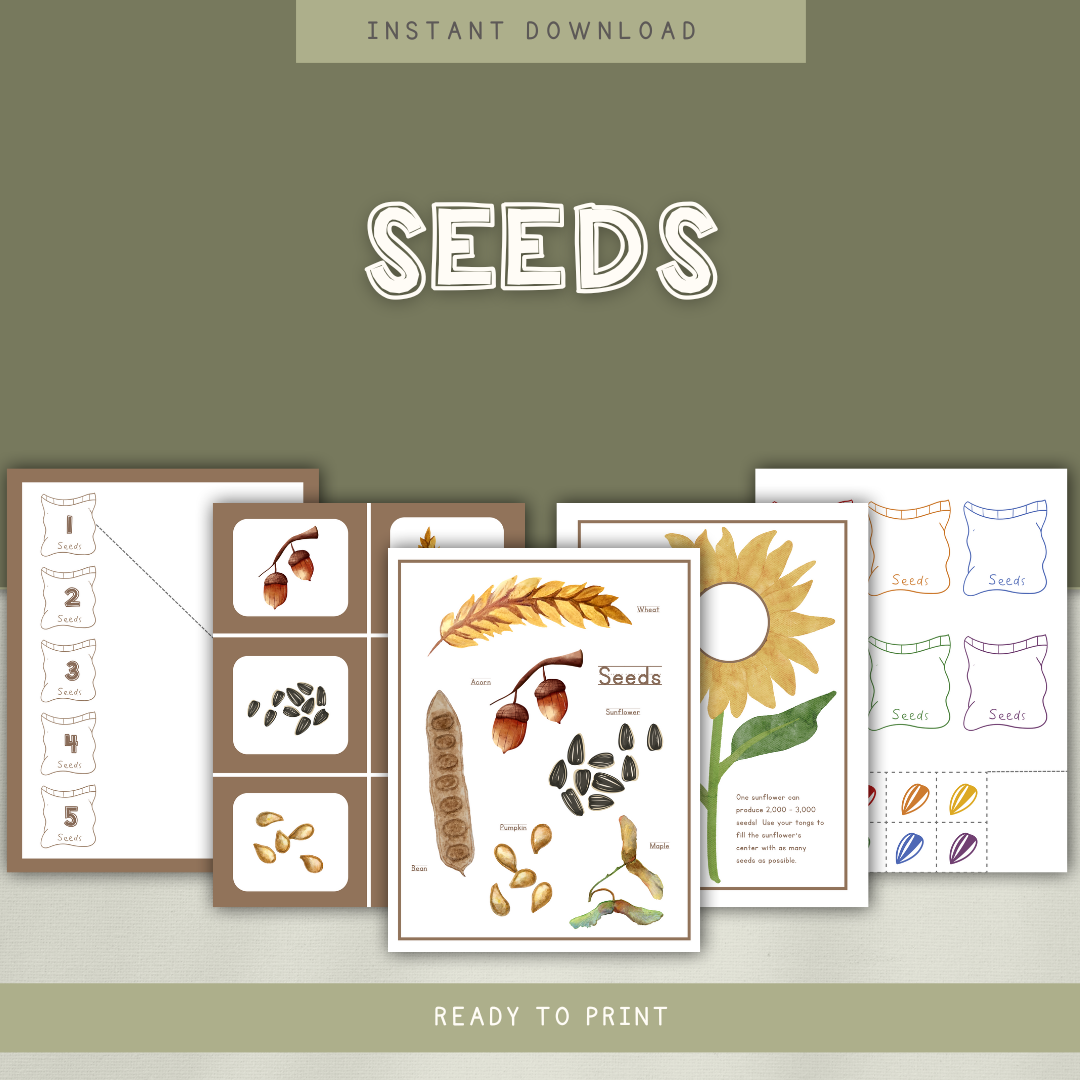 Seeds Preschool Activity Pages - Chickadees Wooden Toys