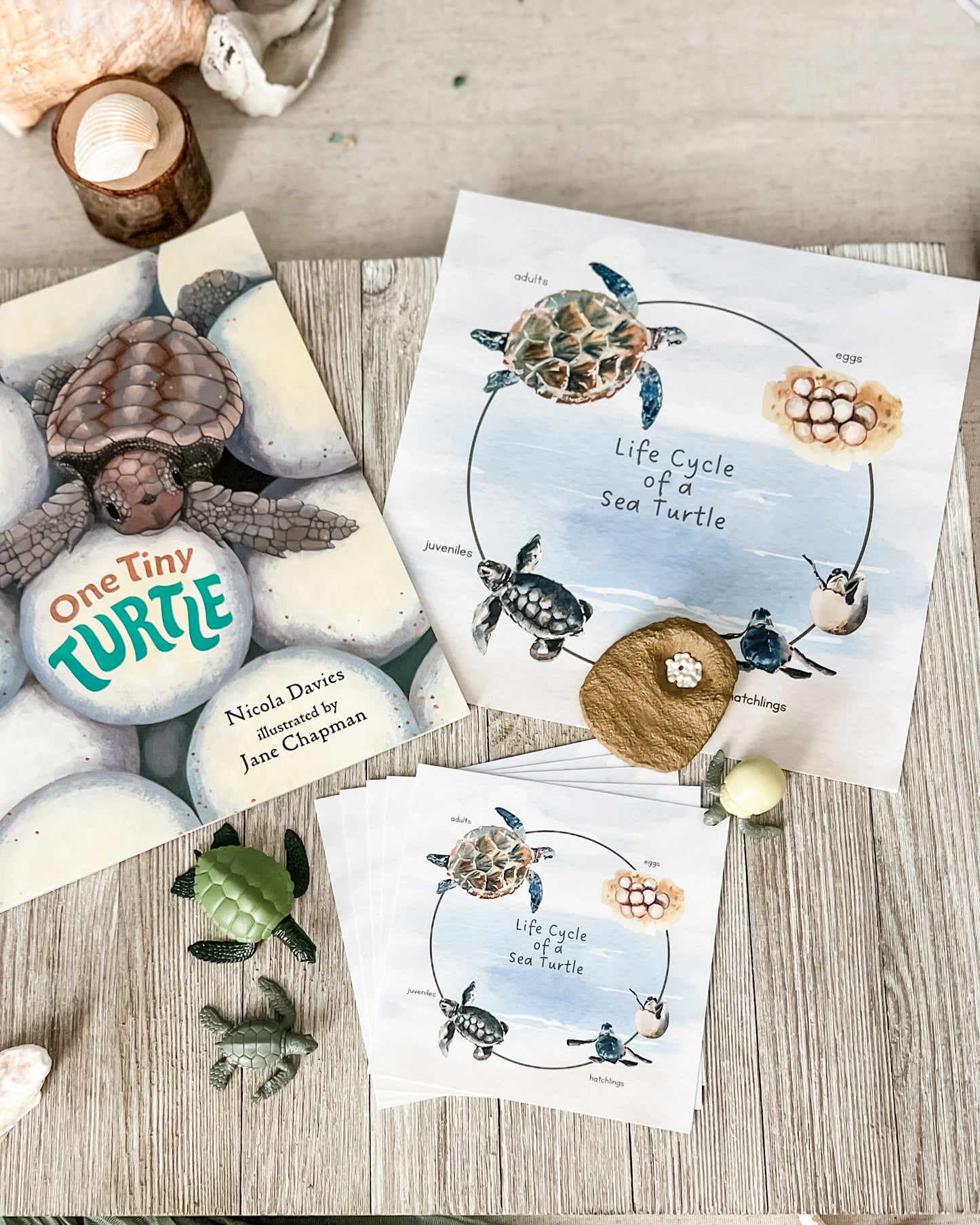 Read And Play - Early Learning Subscription Box 2026