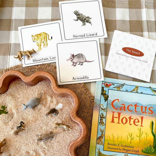 In The Desert - Read & Play Box