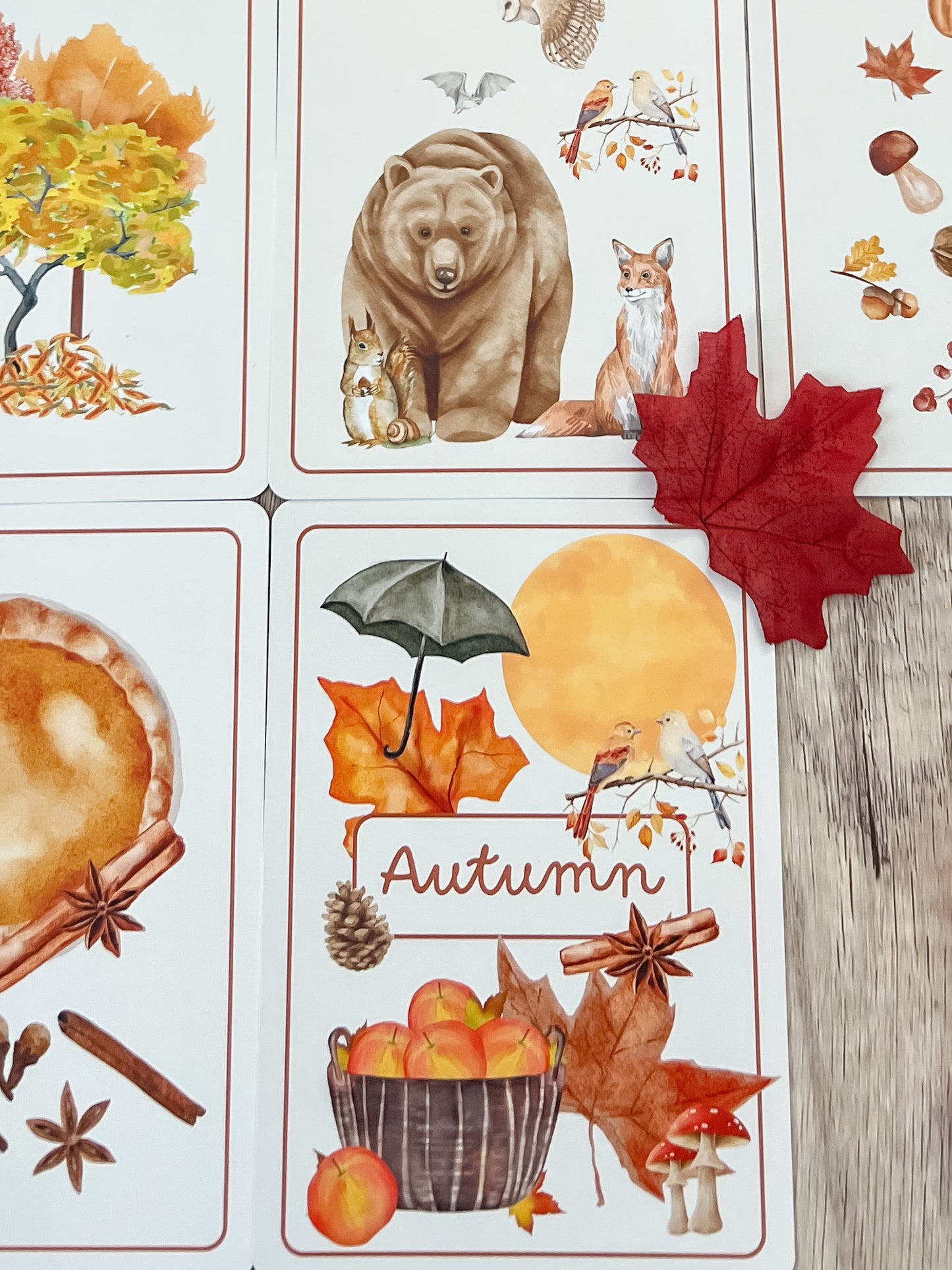 Autumn Season Cards