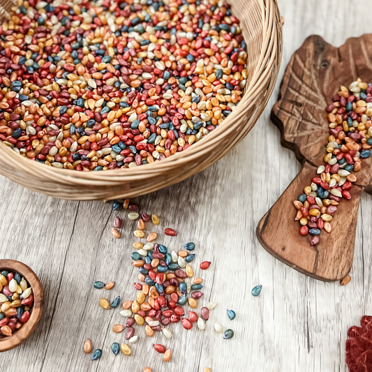 Autumn Corn Sensory Bin Filler