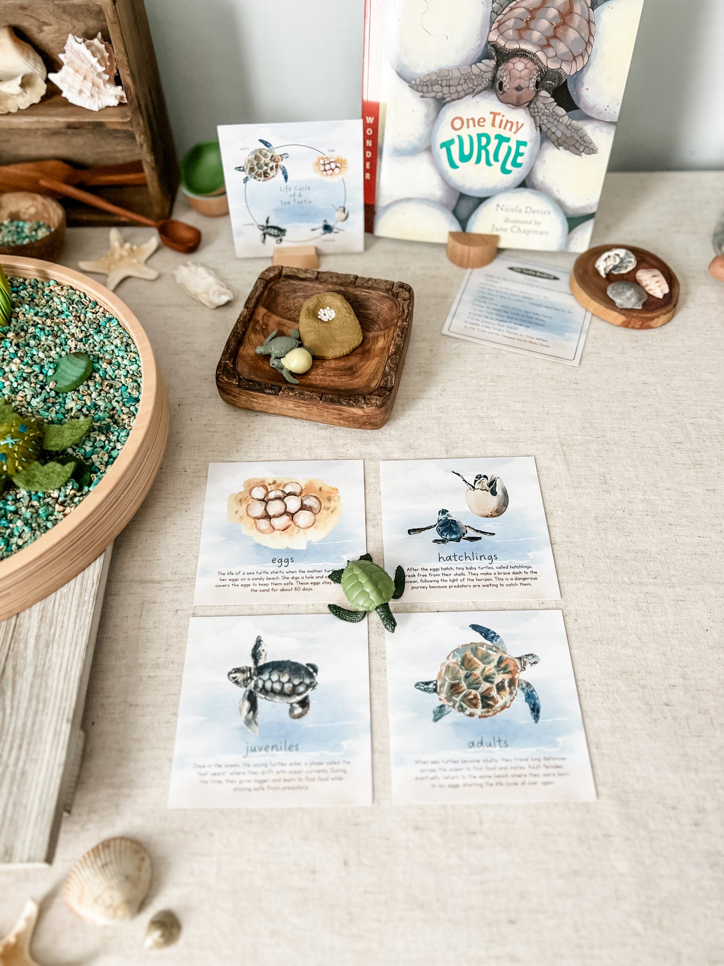 Read And Play - Early Learning Subscription Box 2026