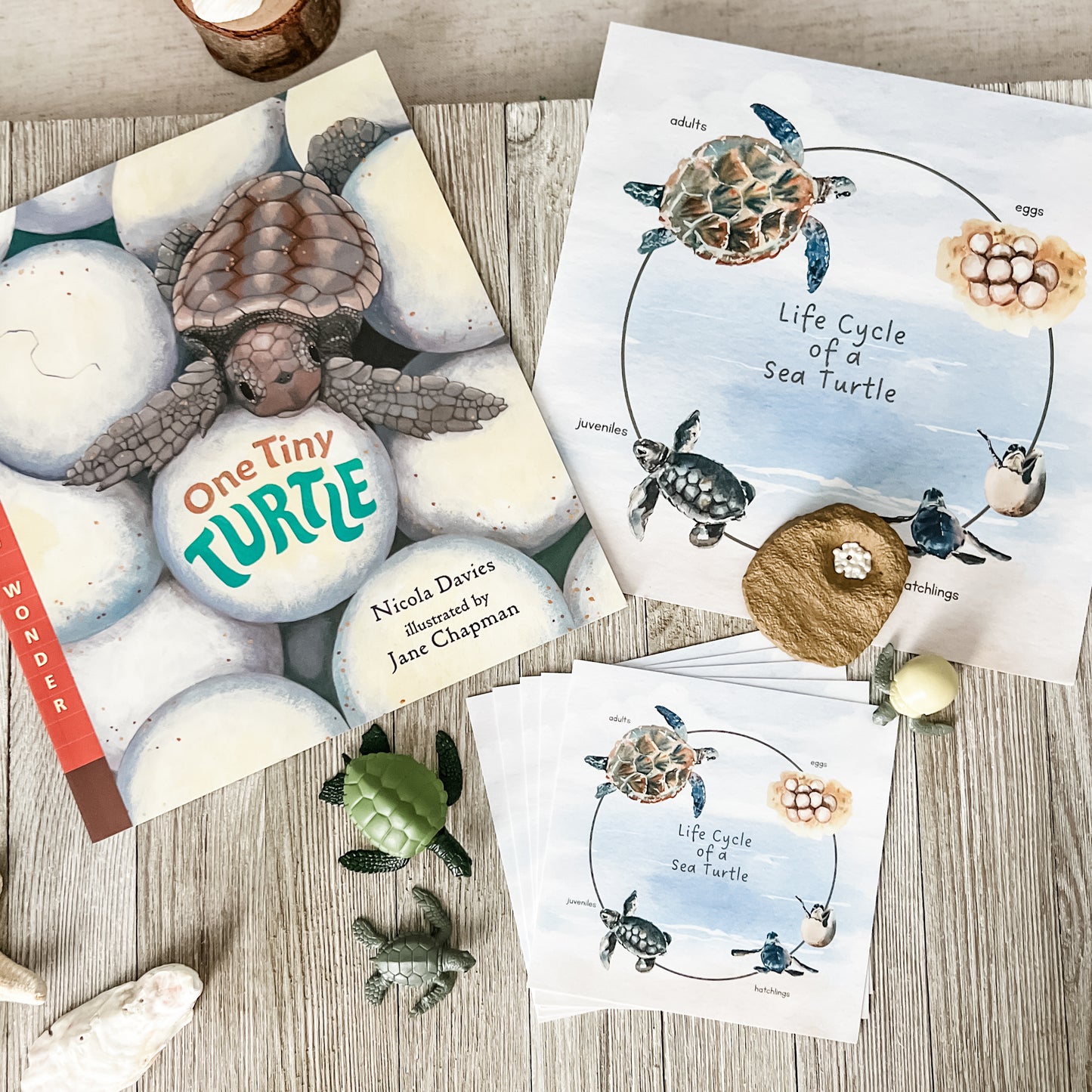Read And Play - Early Learning Subscription Box 2026
