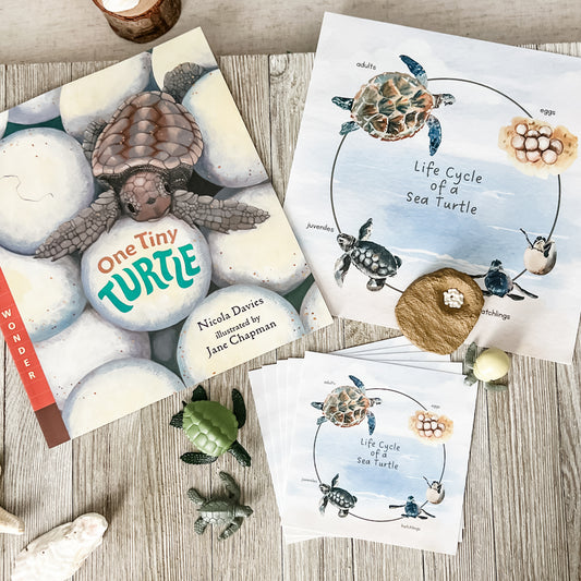 Read And Play - Early Learning Subscription Box 2026