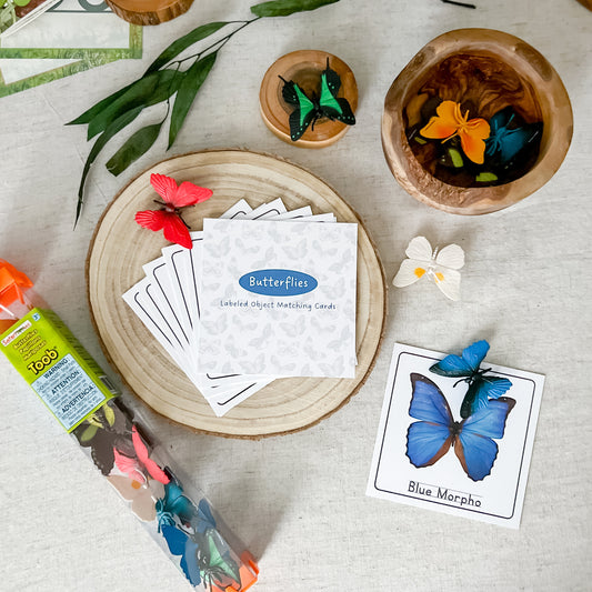 Butterfly Matching - Cards and Figures - Chickadees Wooden Toys