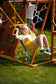 Sycamore Jumbo | Outdoor Sensory Swing Set & Jungle Gym