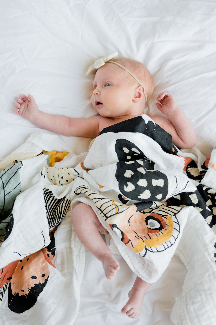 Butterfly Collector Swaddle - Chickadees Wooden Toys