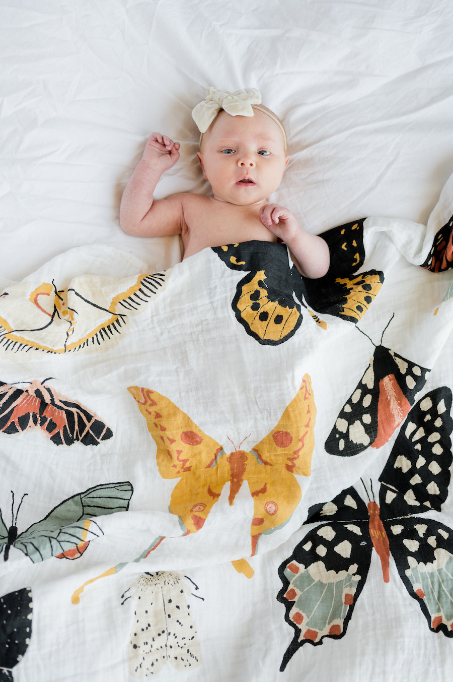 Butterfly Collector Swaddle - Chickadees Wooden Toys
