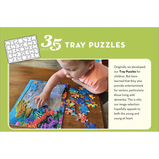 Dwight's Duck 35 Piece Tray Jigsaw Puzzle Cobble Hill - Chickadees Wooden Toys