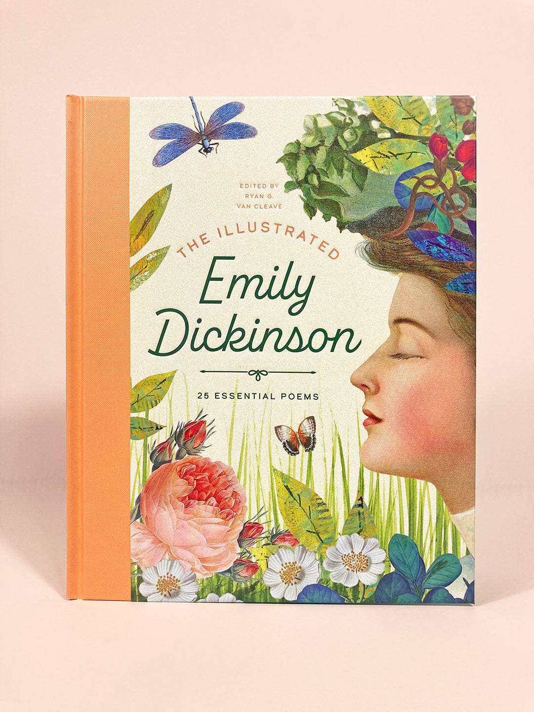 The Illustrated Emily Dickinson