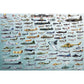 Evolution of Military Aircraft 2000 Piece Jigsaw Puzzle Eurographics