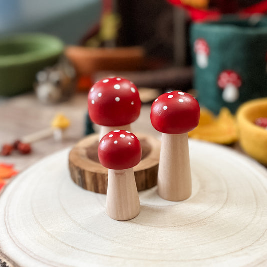 Red Autumn Mushrooms