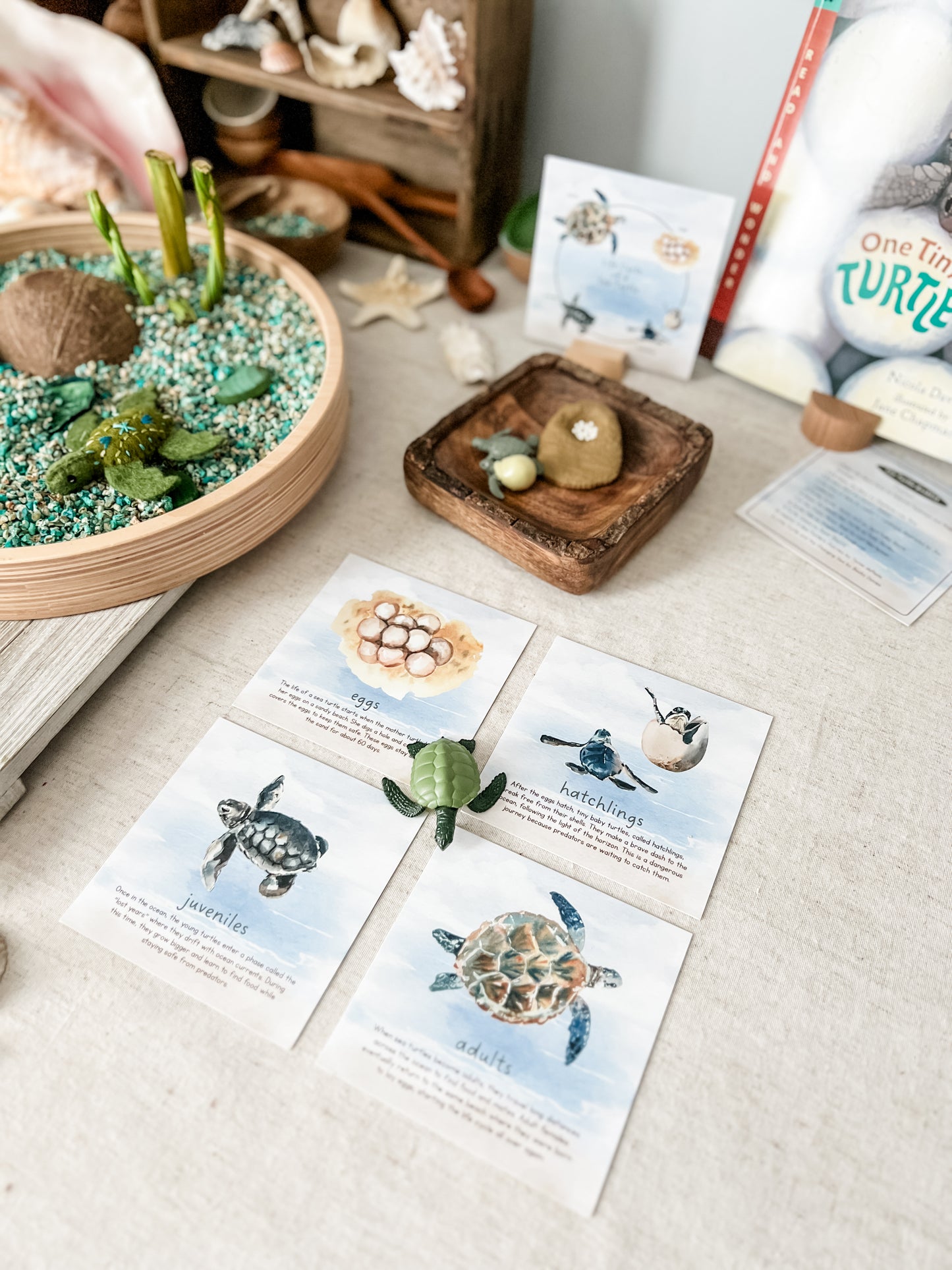 Read And Play - Early Learning Subscription Box 2026