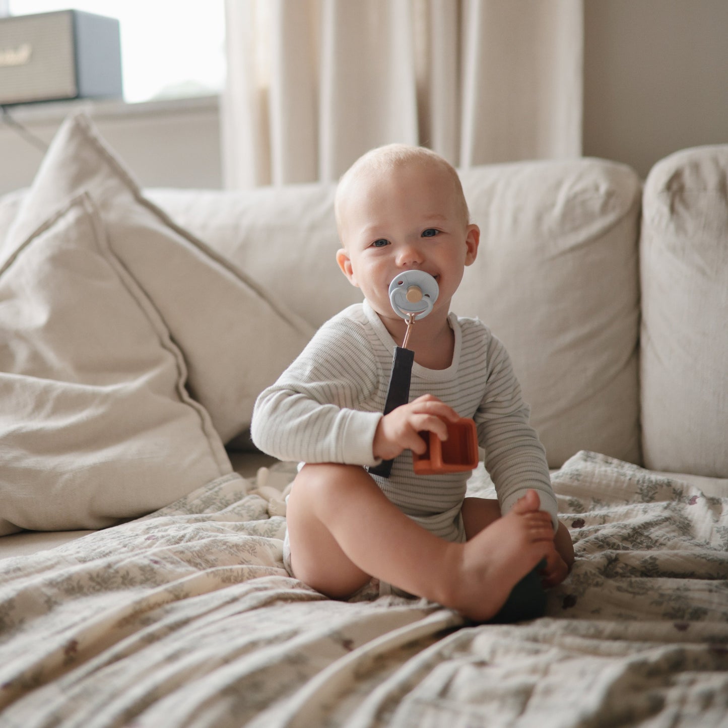 Vehicles Mold Free Bath Play Set - Chickadees Wooden Toys