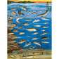 Fishes of the Great Lakes 1000 Piece Jigsaw Puzzle NYPC