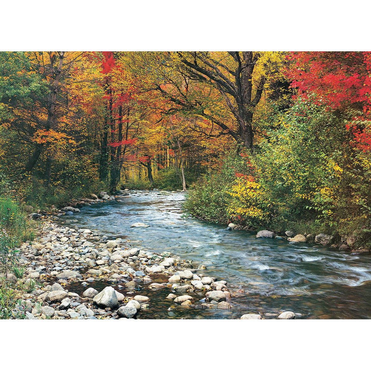 Forest Stream 1000 Piece Jigsaw Puzzle Eurographics