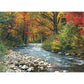Forest Stream 1000 Piece Jigsaw Puzzle Eurographics