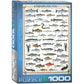 Freshwater Fish 1000 Piece Jigsaw Puzzle Eurographics