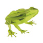 Frog 3D Cardboard Model Kit Fridolin