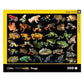 Frogs National Geographic Photo Ark 500 Piece Jigsaw Puzzle NYPC
