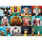 Funny Animals 1000 Piece Jigsaw Puzzle Eurographics