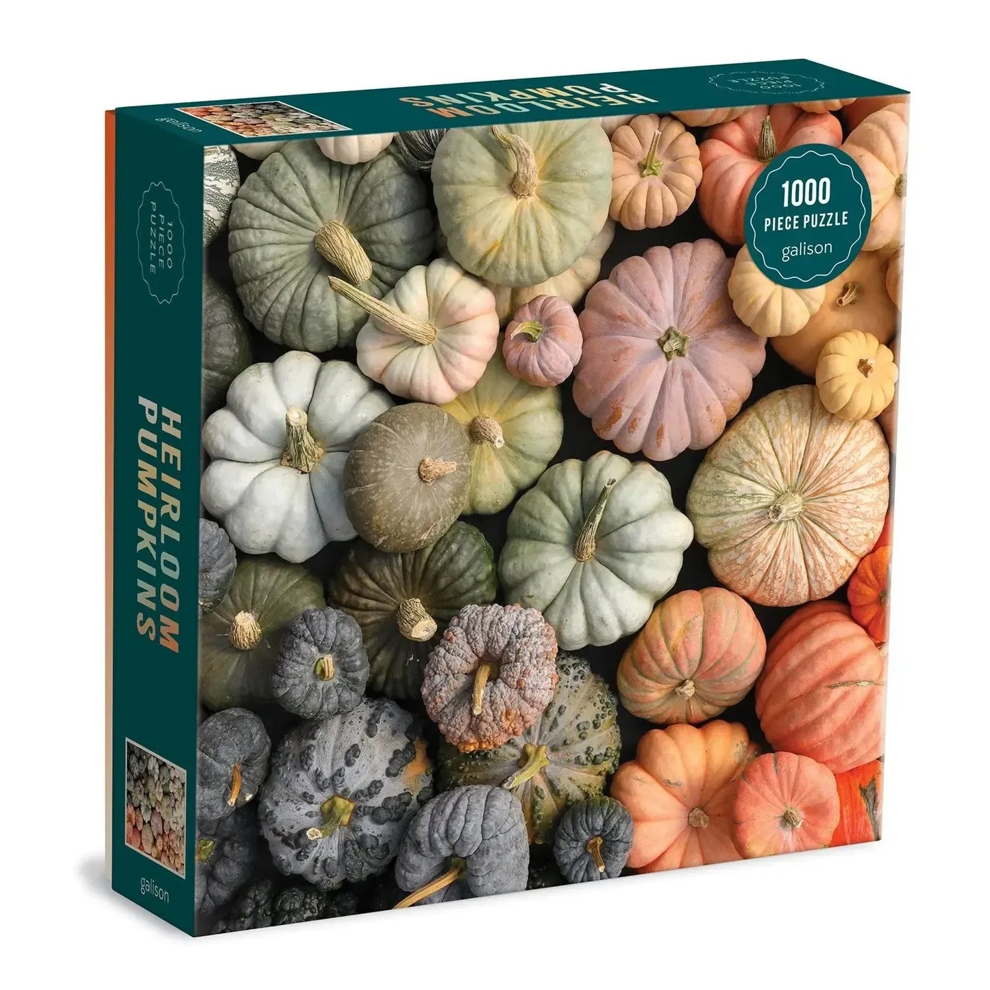 Heirloom Pumpkins 1000 Piece Jigsaw Puzzle Galison