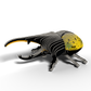 Hercules Beetle 3D Cardboard Model Kit Eugy