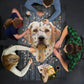 I Am Lab 550 Piece Head Shaped Jigsaw Puzzle Madd Capp