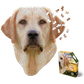 I Am Lab 550 Piece Head Shaped Jigsaw Puzzle Madd Capp