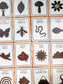 Transient Art Prompt Cards