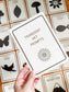 Transient Art Prompt Cards