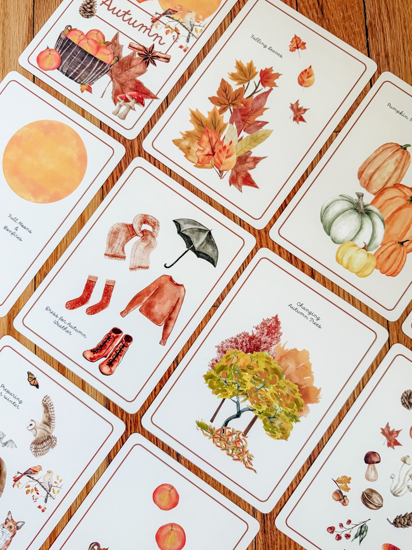 Autumn Season Cards