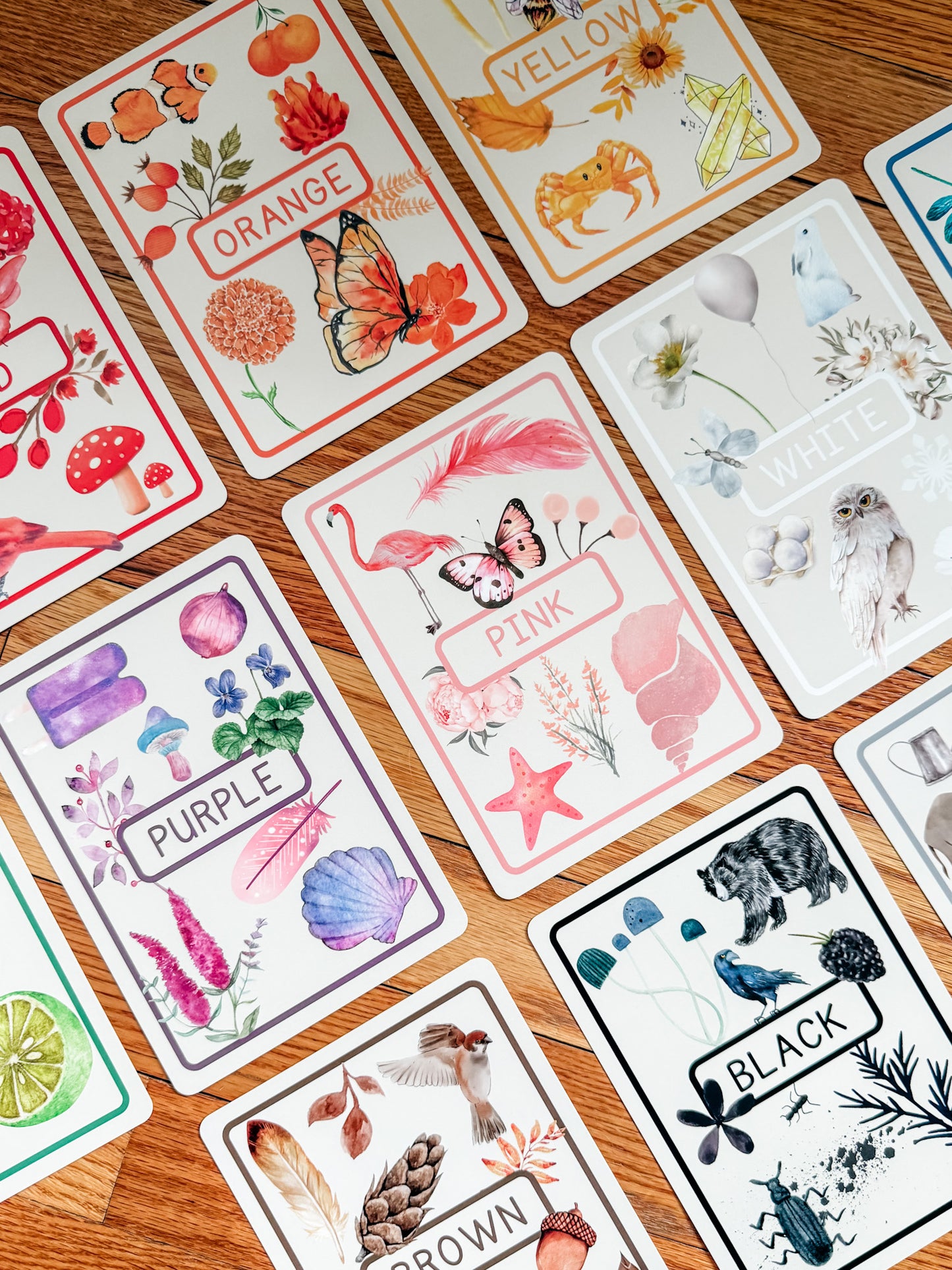 Color Flashcards