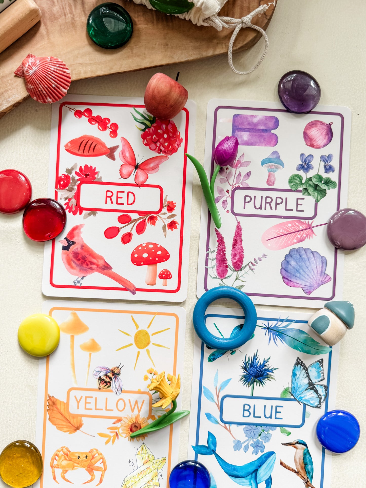 Color Flashcards