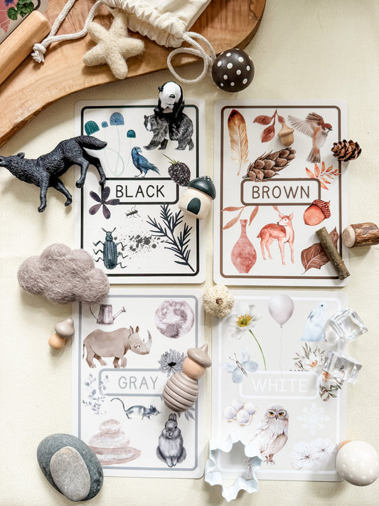 Color Flashcards - Chickadees Wooden Toys