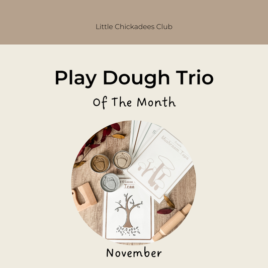 Play Dough Trio of the Month