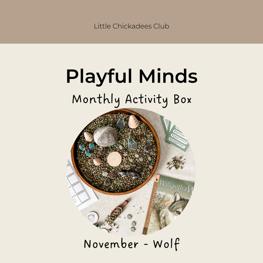 Playful Minds Activity Box - Save