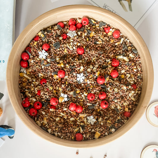 Winter Bird Sensory Bucket