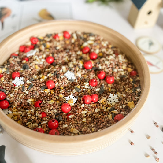 Winter Bird Sensory Bucket