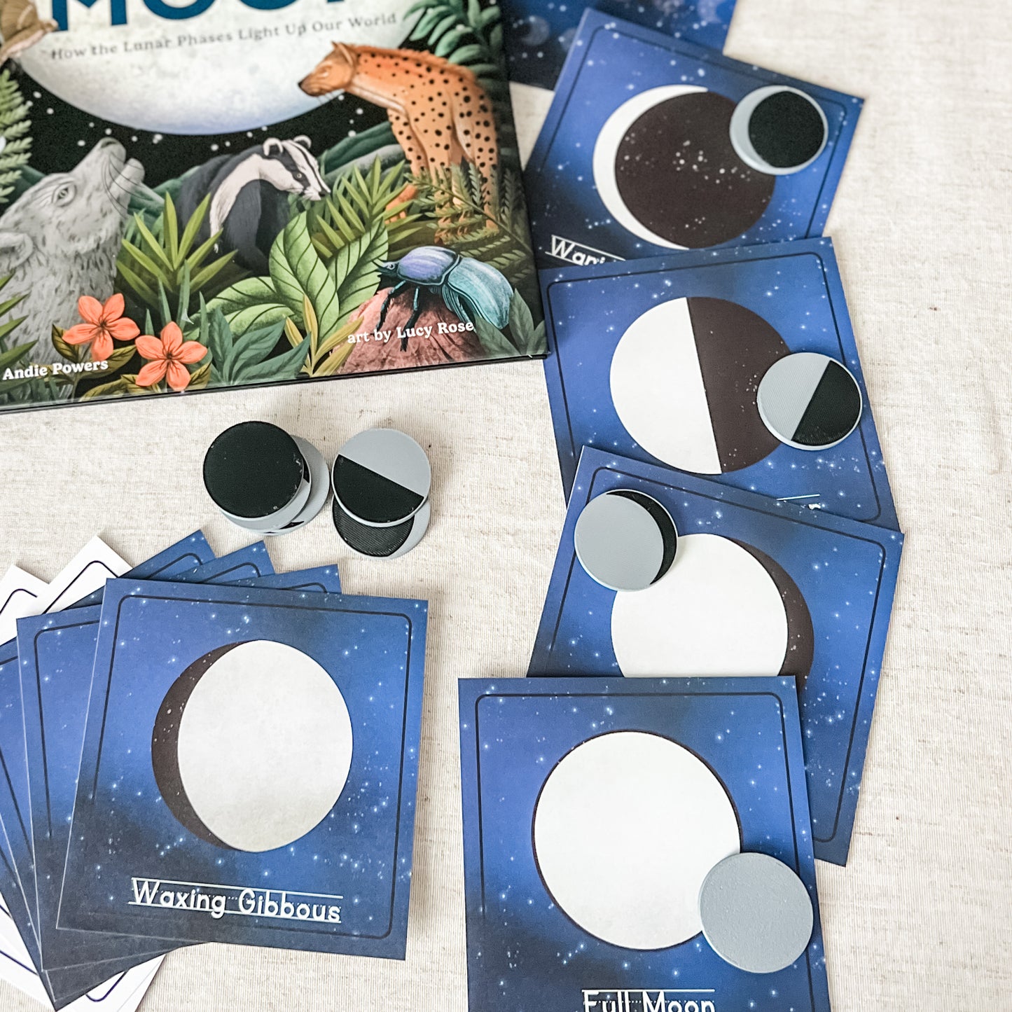 Read And Play - Early Learning Subscription Box 2026 - Chickadees Wooden Toys