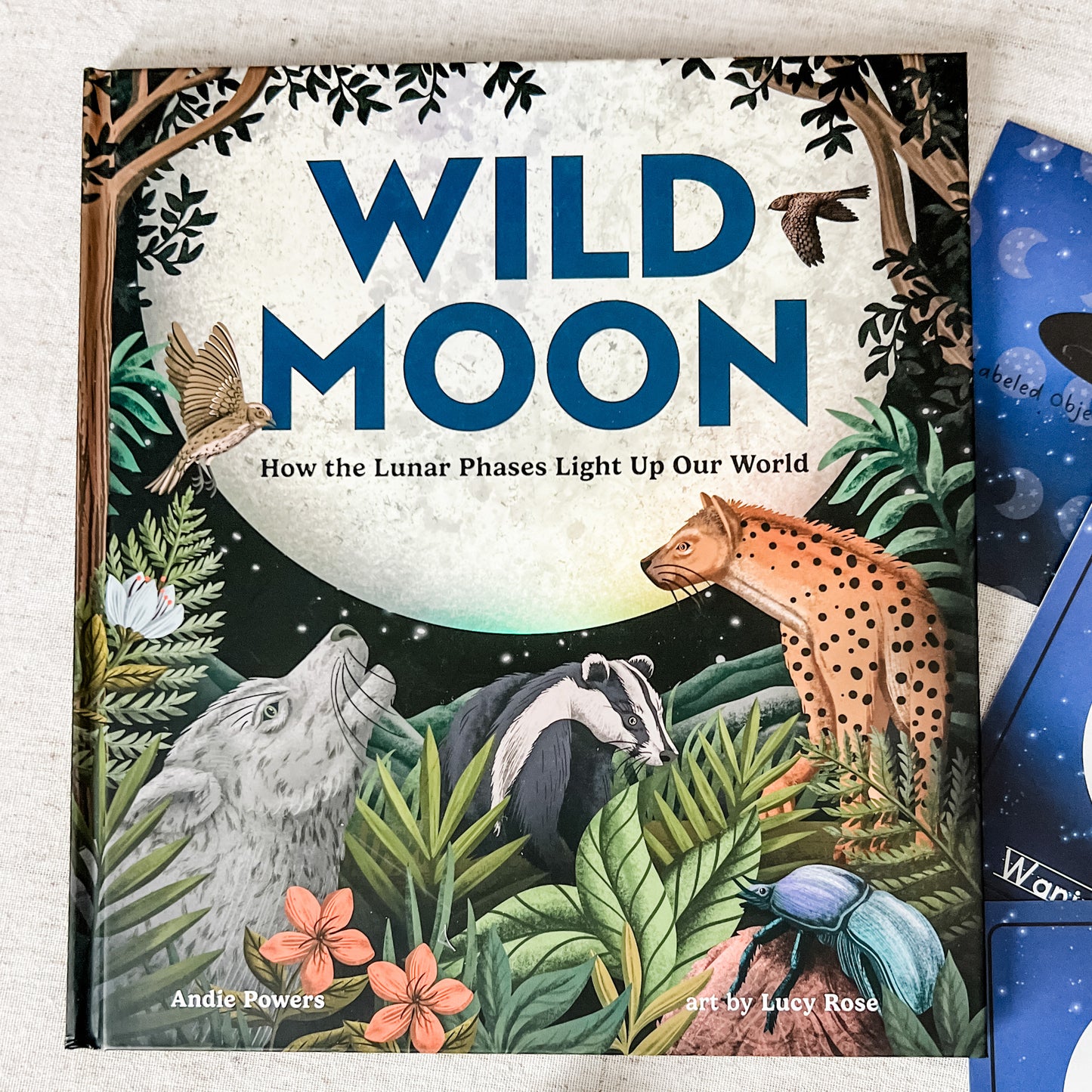 Read And Play - Early Learning Subscription Box 2026 - Chickadees Wooden Toys