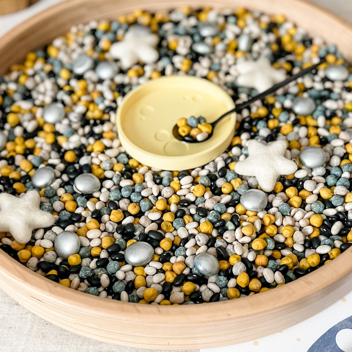 Dig and Play - Early Learning Subscription Box 2026 - Chickadees Wooden Toys